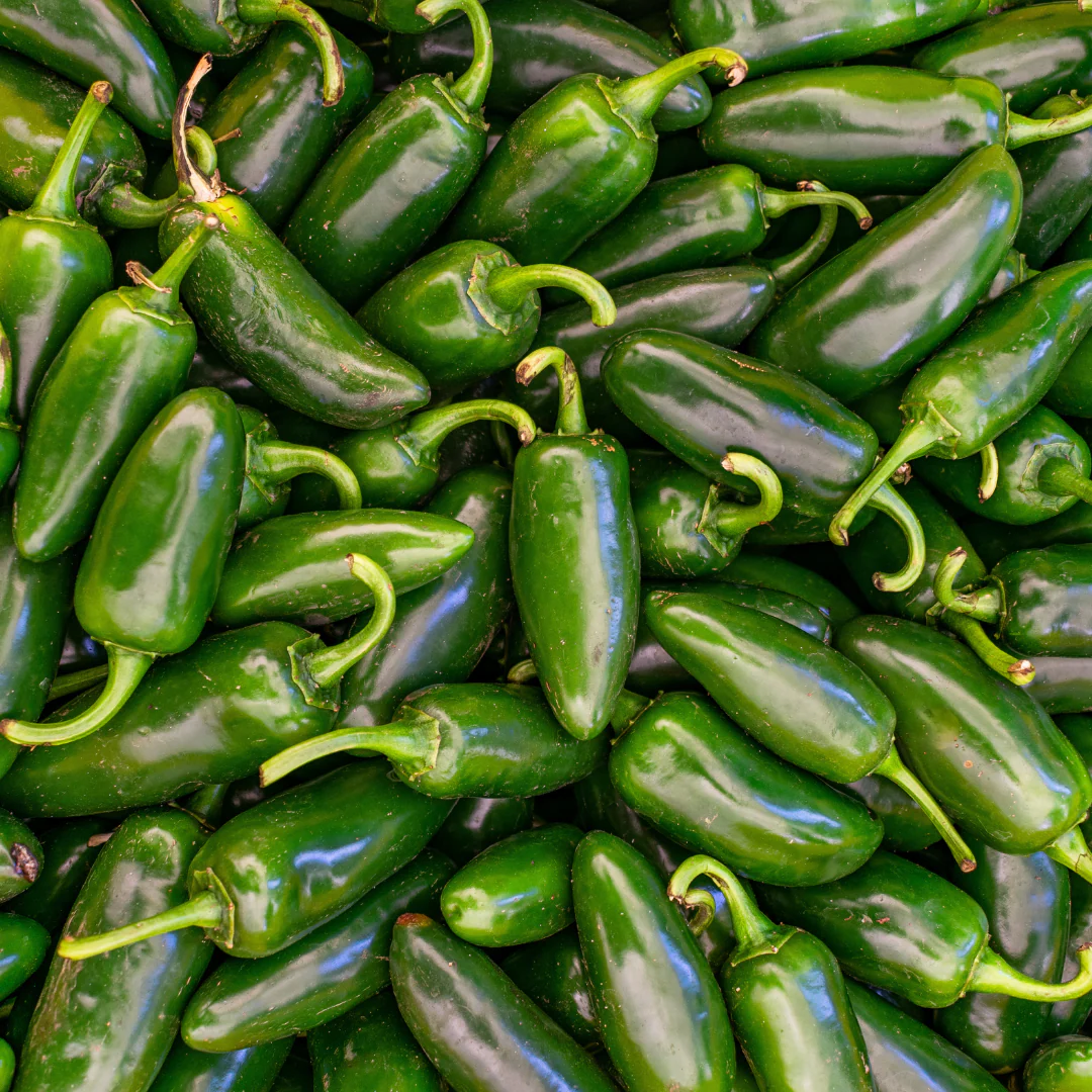 Pre-Order | Fresh Hatch Green Jalapeño Peppers | Farm-Grown in Hatch, New Mexico - Image 3