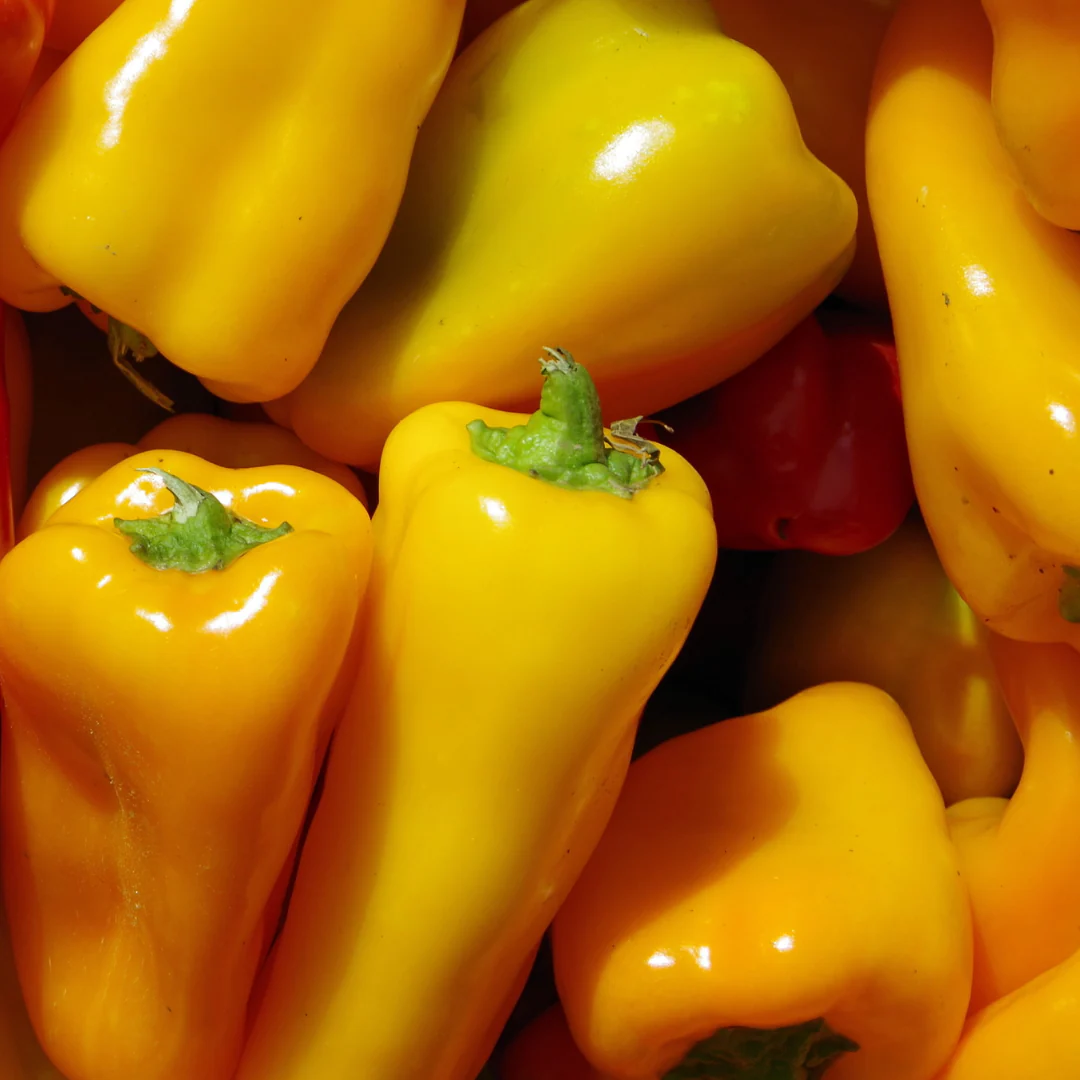 Pre-Order | Fresh Hatch Yellow Hot Peppers | Farm-Grown in Hatch, New Mexico - Image 3