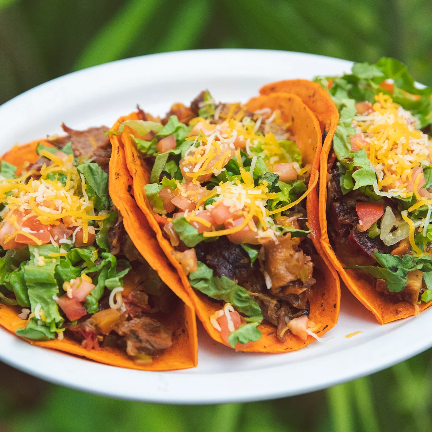Hatch Red Chile Corn Tortillas - Image 5