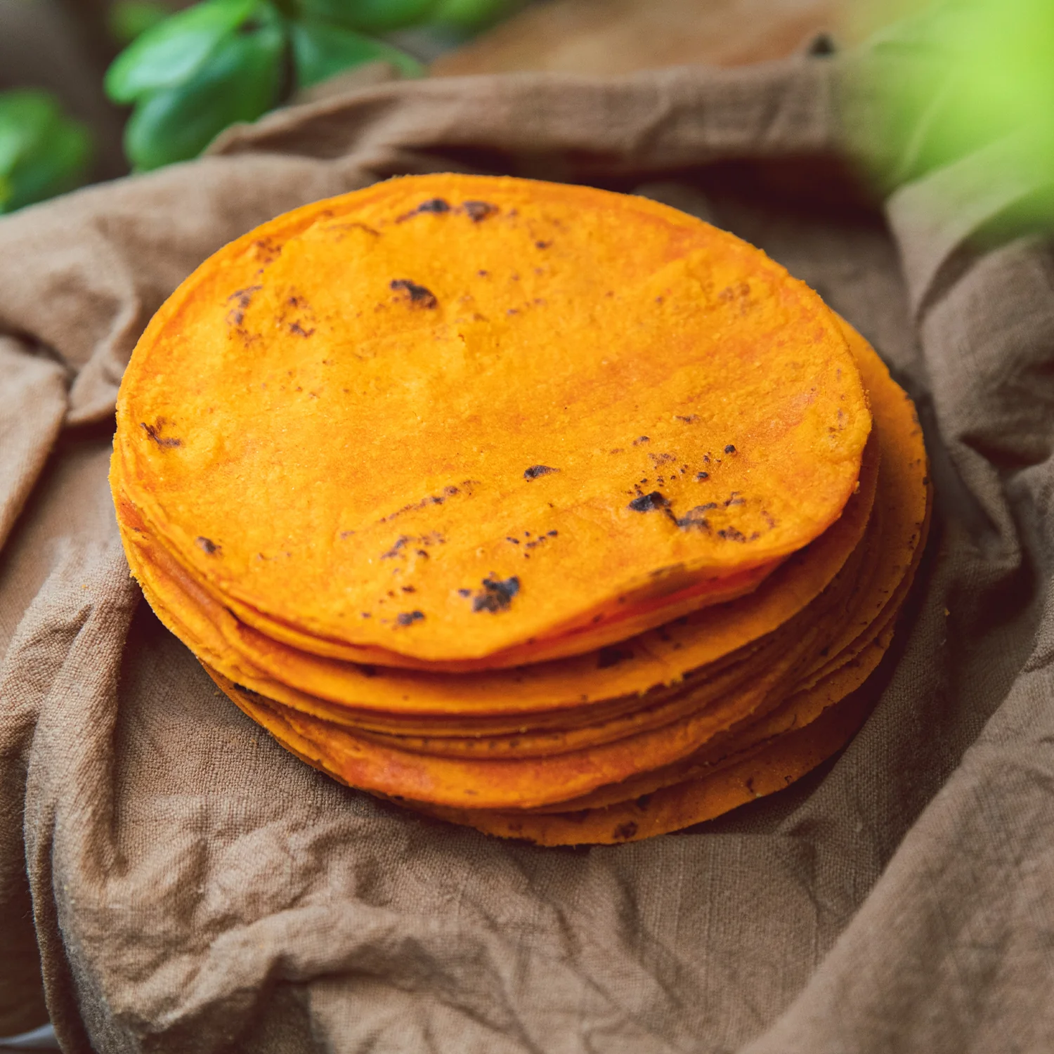 Hatch Red Chile Corn Tortillas - Image 7