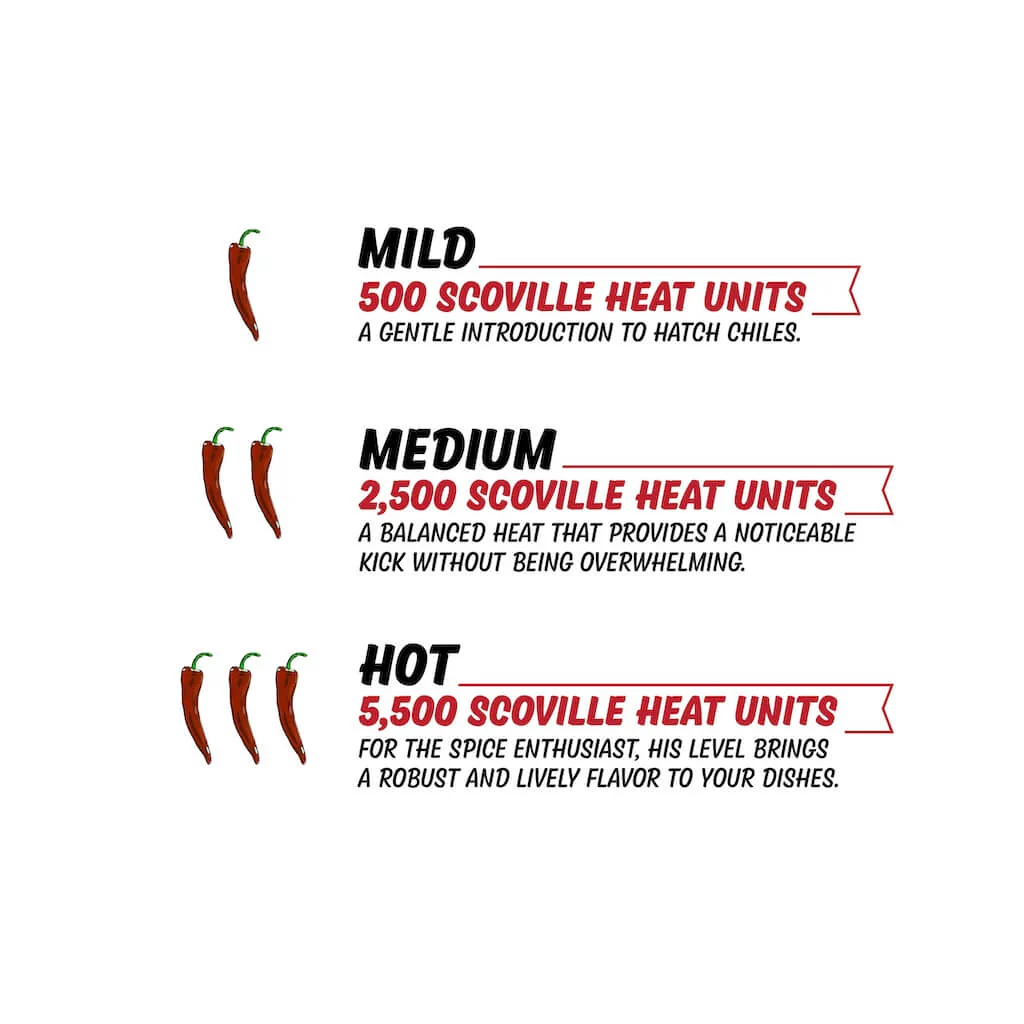 Sun-Dried Red Chile Sauce - Image 3